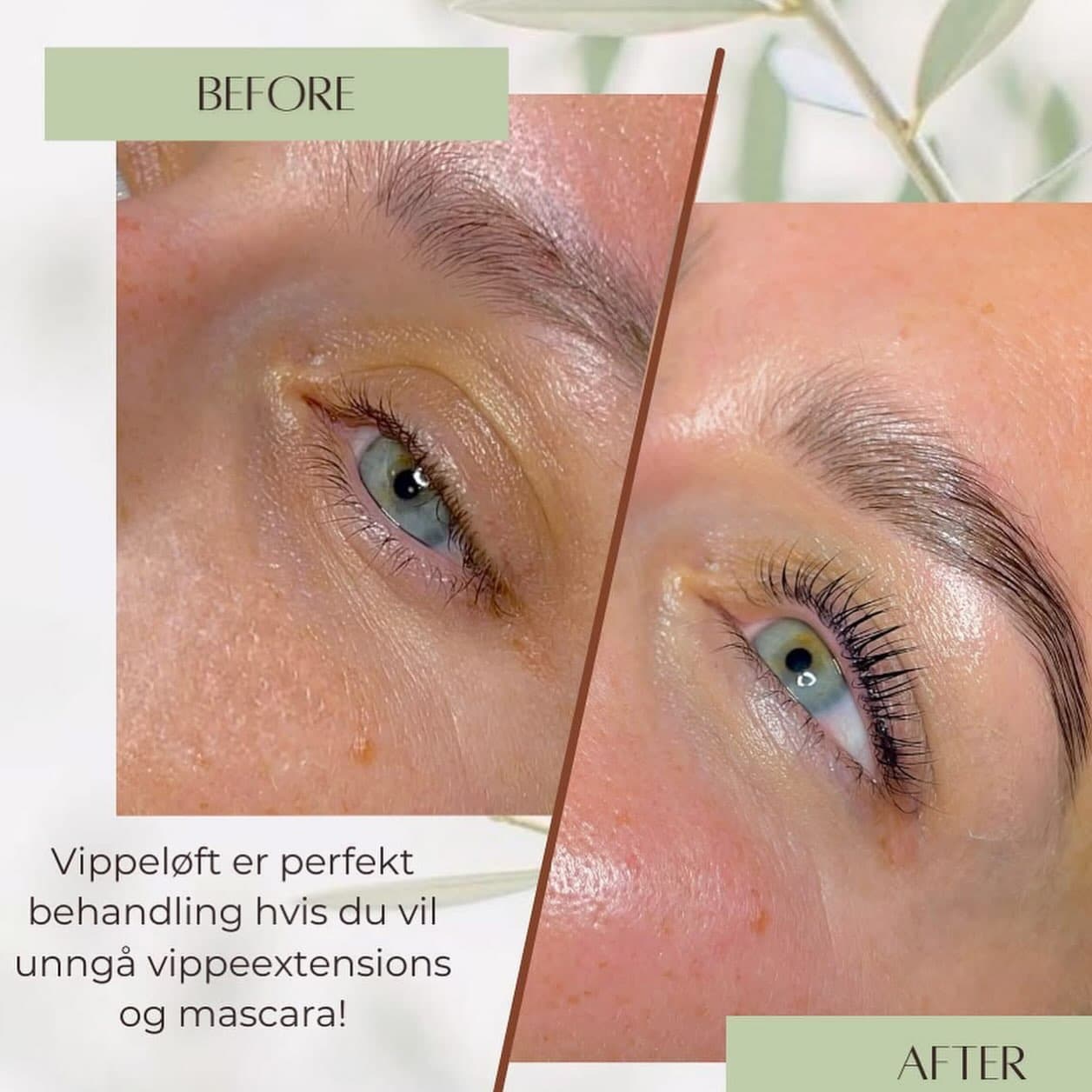 Vi har noen ledige timer denne uken ! Sommerens favoritt var blant annet vippeløft med farge + vipper& bryn 🤩 Minner …