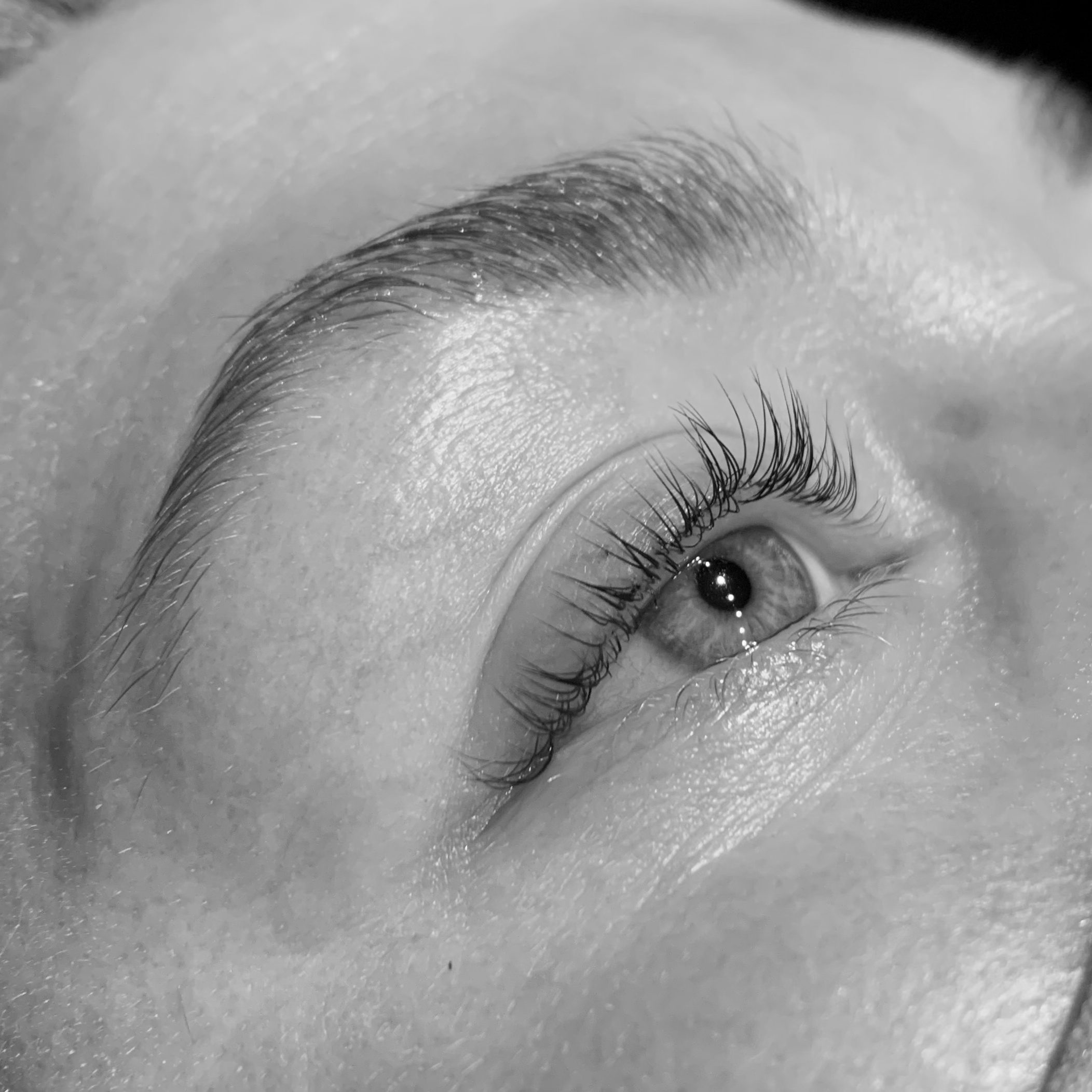 IMG-0901 IMG-0901